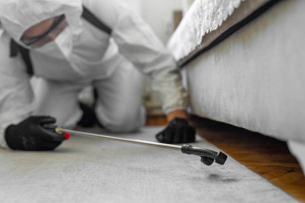 Professional Bed Bug Control technician working in Harrisonburg, VA