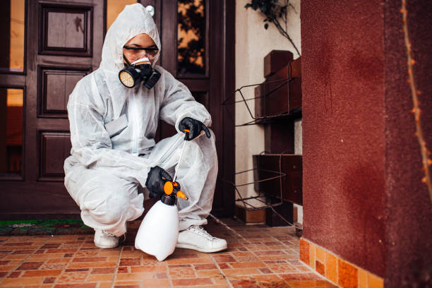 Reliable Bed Bug Control contractor in Harrisonburg, VA by Nex Pest Control