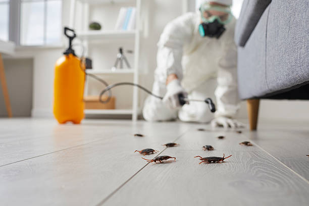 Trusted Bed Bug Control service in Harrisonburg, VA - Nex Pest Control