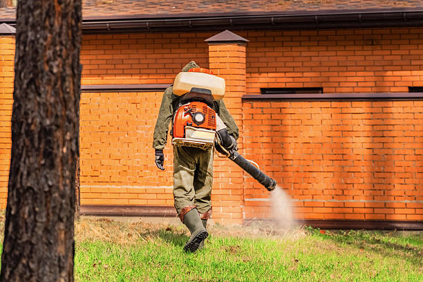 Trusted Cockroach Control service in Harrisonburg, VA - Nex Pest Control
